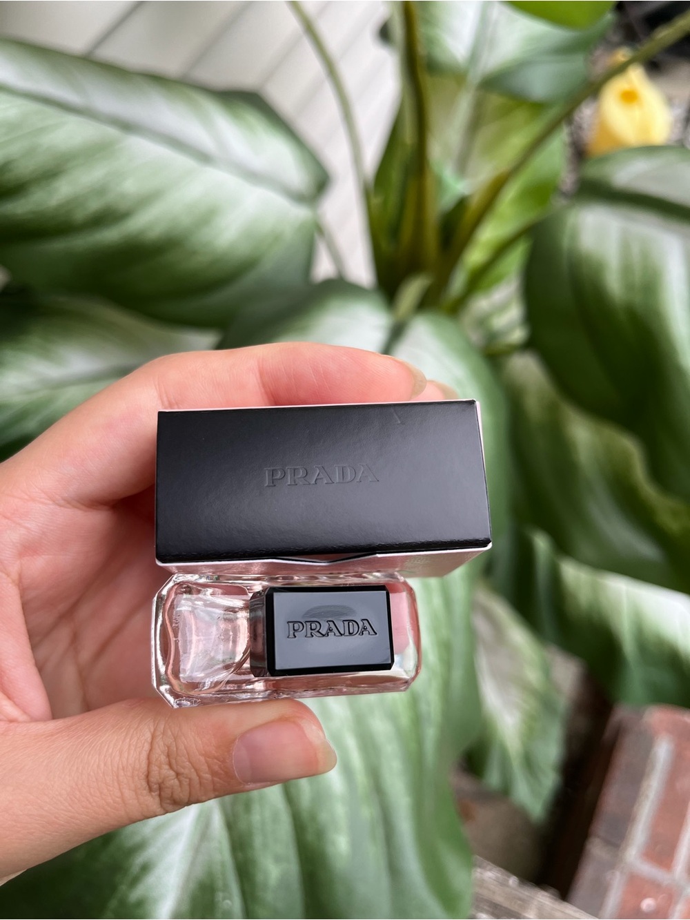 Prada Paradoxe - Pink - Picture 2 of 5